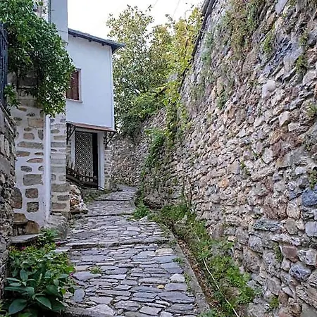 Hotel Anemone Pelion Vizitsa